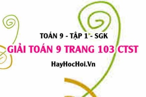 Giải Toán 9 trang 103 tập 1 Chân trời sáng tạo